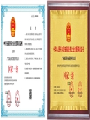 2025-安保服务企业资质等级证书